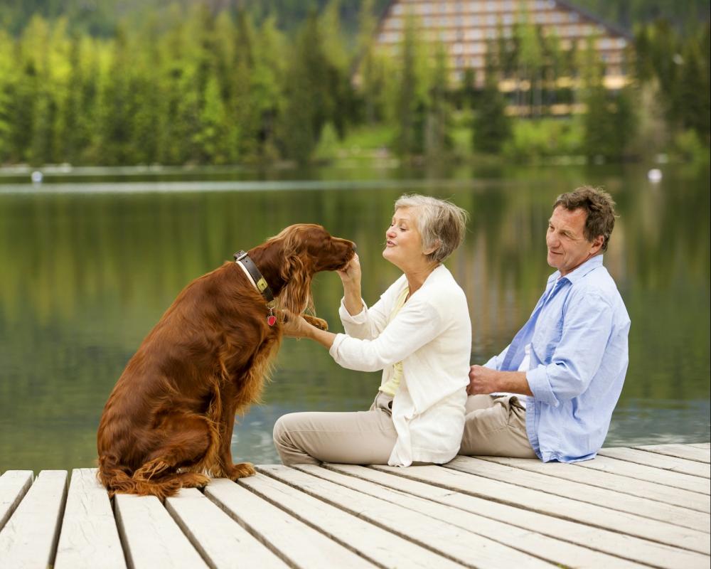 Dog and people on dock