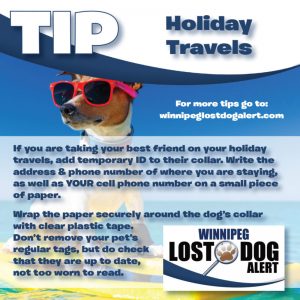 Traveling for the Holidays?