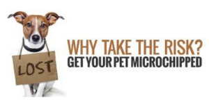 Why Microchip Your Pet.