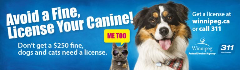 Licence Your Pet 768x224 