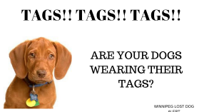 TAGS! TAGS! TAGS!