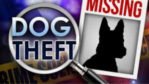 Dog Theft Awareness