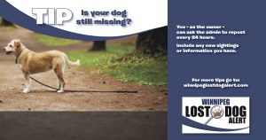 Is your dog still missing?